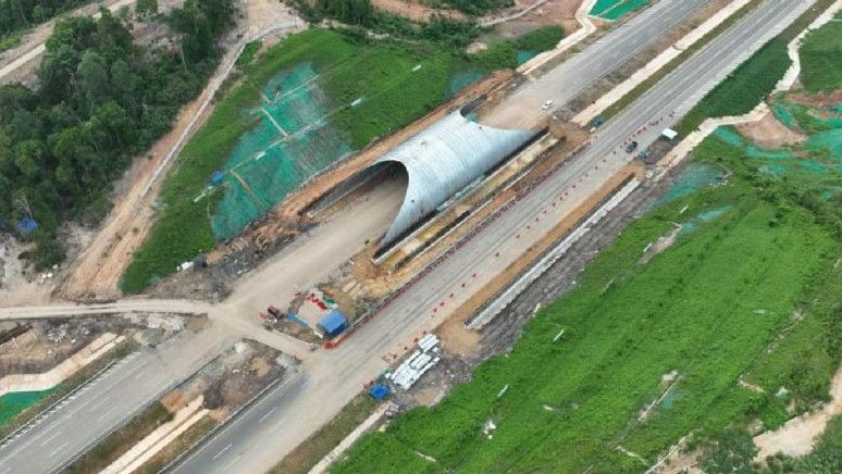 Bangun Terowongan Perlintasan Satwa Liar di Tol IKN, Wamen PU: Upaya Pelestarian dan Jaga Ekosistem