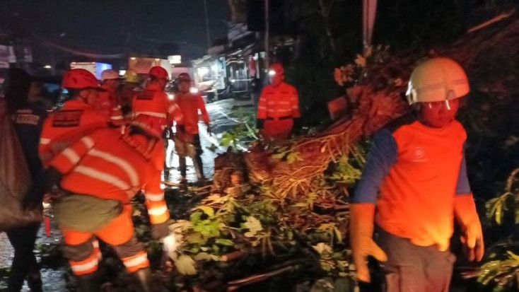 Pohon Kecopong Di Bogor Tumbang Dan Timpa Pemotor Hingga Tewas Tragis ERA ID