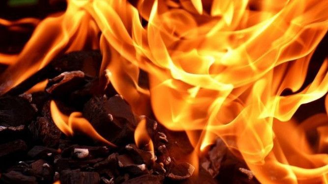 Viral Video Pembakaran Al-Qur'an, Polisi: Sebenarnya Tidak Ada