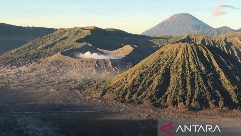 TNBTS Larang Wisatawan Dirikan Tenda di Kawasan Gunung Bromo, Cegah Kebakaran dan Sampak Menumpuk