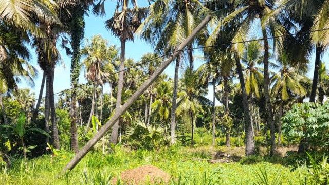 Kacau! PLN Sebut Jaringan Listrik di Madura Alami Gangguan Akibat Kabelnya Dicuri