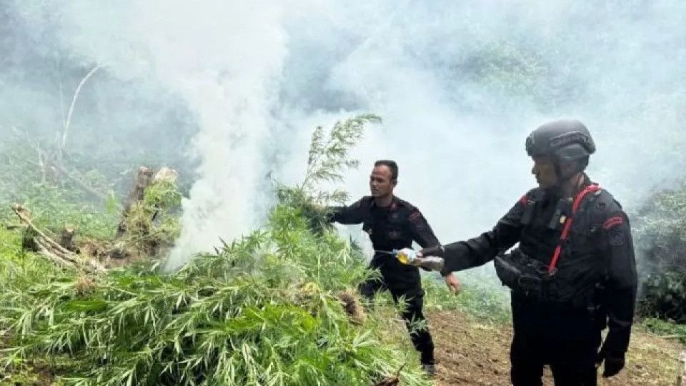 Tergiur Upah Rp10 Juta, Kakek di Bekasi Nekat Jadi Kurir 14 Kilogram Ganja