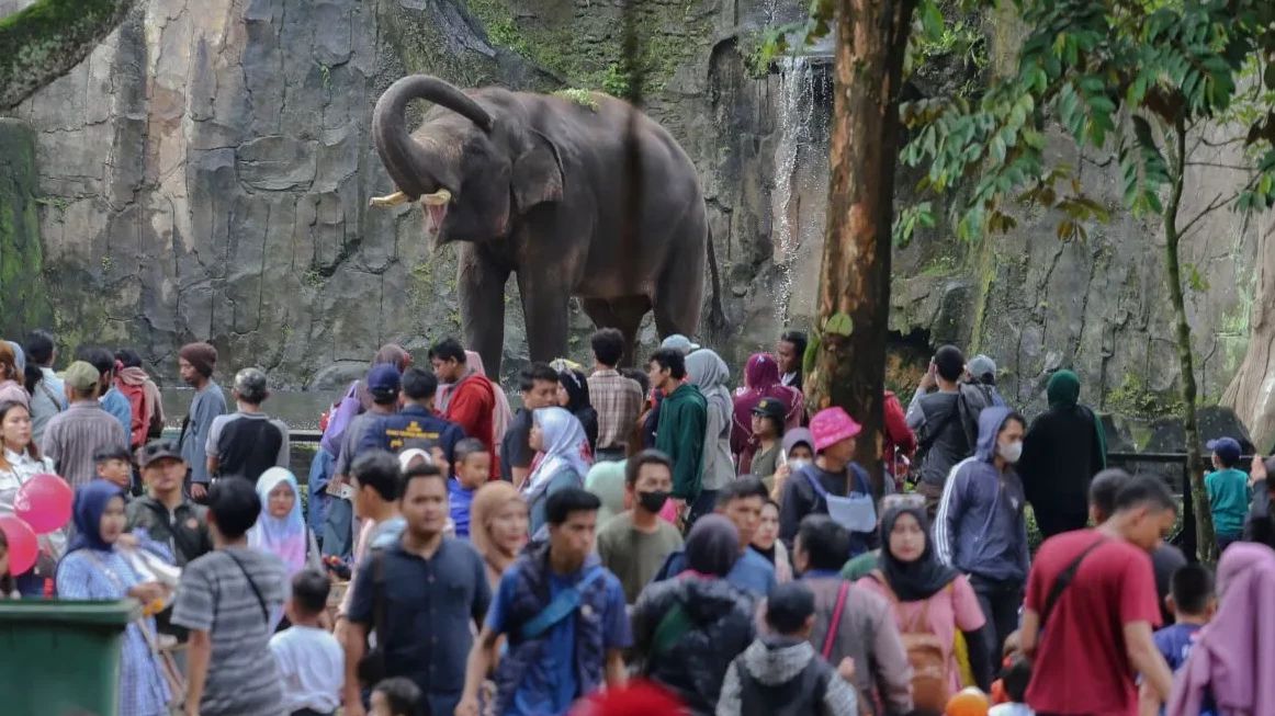 Pramono Akan Naikan Tarif Masuk Ragunan Bagi Warga Luar Jakarta dan Wisatawan Asing