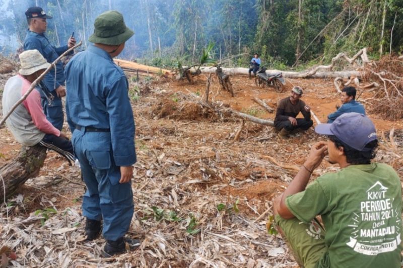 Gakkum Sulawesi Tangkap Kepala Desa Diduga Rambah Hutan Konsevasi, Tanam Kelapa Sawit