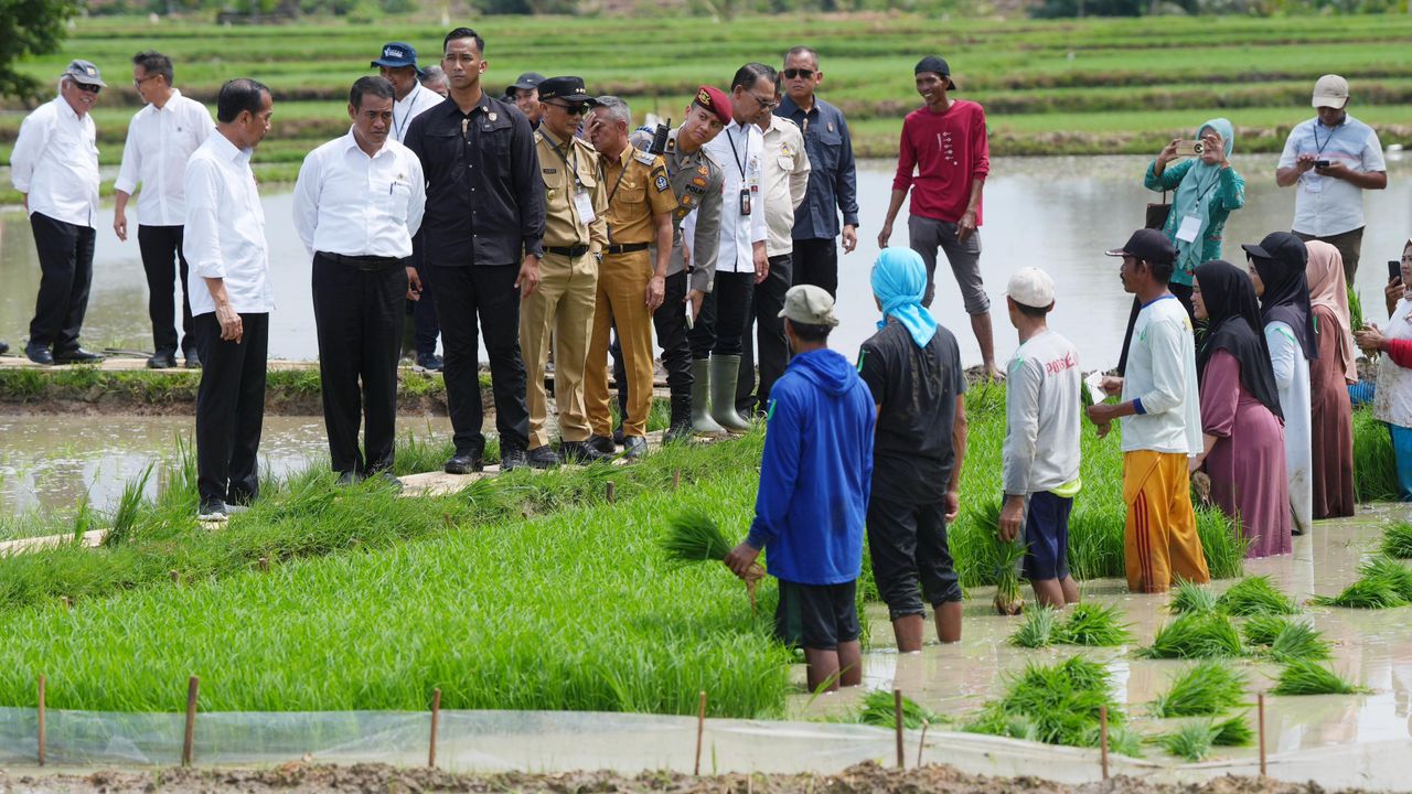 Ditemani Pj Gubernur Zudan, Jokowi Harap Hasil Pertanian Sulsel Bisa Ikut Menyangga IKN