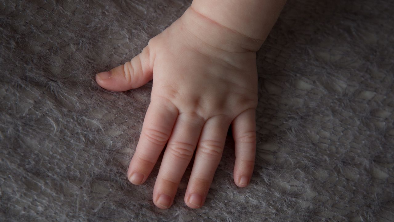 Heboh Penemuan Jasad Bayi Dikubur di Rumah Warga Tulungagung, Polisi Selidiki