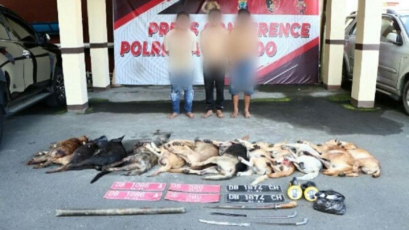 Sadis, 3 Pria di Manado Racuni Belasan Anjing hingga Mati