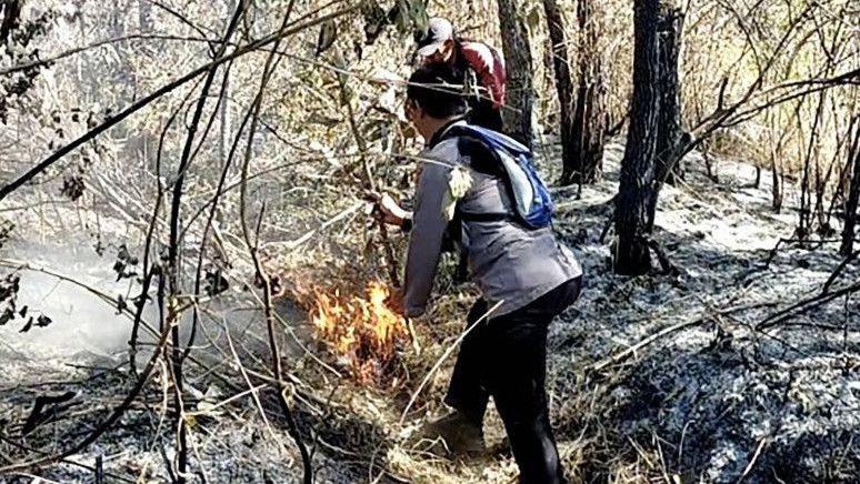 Polisi Sebut Kebakaran Gunung Arjuno Akibat Perburuan Liar, untuk Lokalisasi Satwa