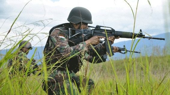Kontak Tembak KKB Papua dengan TNI, 1 Prajurit Gugur