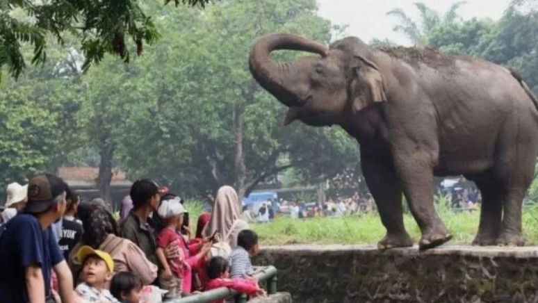 Kenaikan Tarif Masuk Taman Margasatwa Ragunan, Pengelola: Enggak Akan Mahal