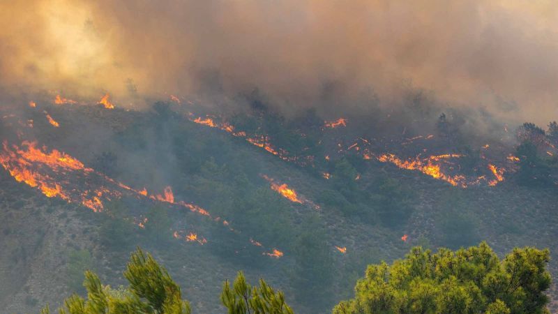 Kebakaran Dahsyat Landa Hutan di Yunani hingga Ancam Pinggiran Athena