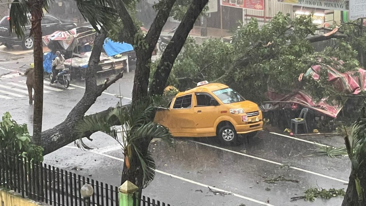 Nasib Nahas 2 Nakes Meninggal Dunia Akibat Pohon Tumbang Timpa Angkot di Depan RSUP Adam Malik