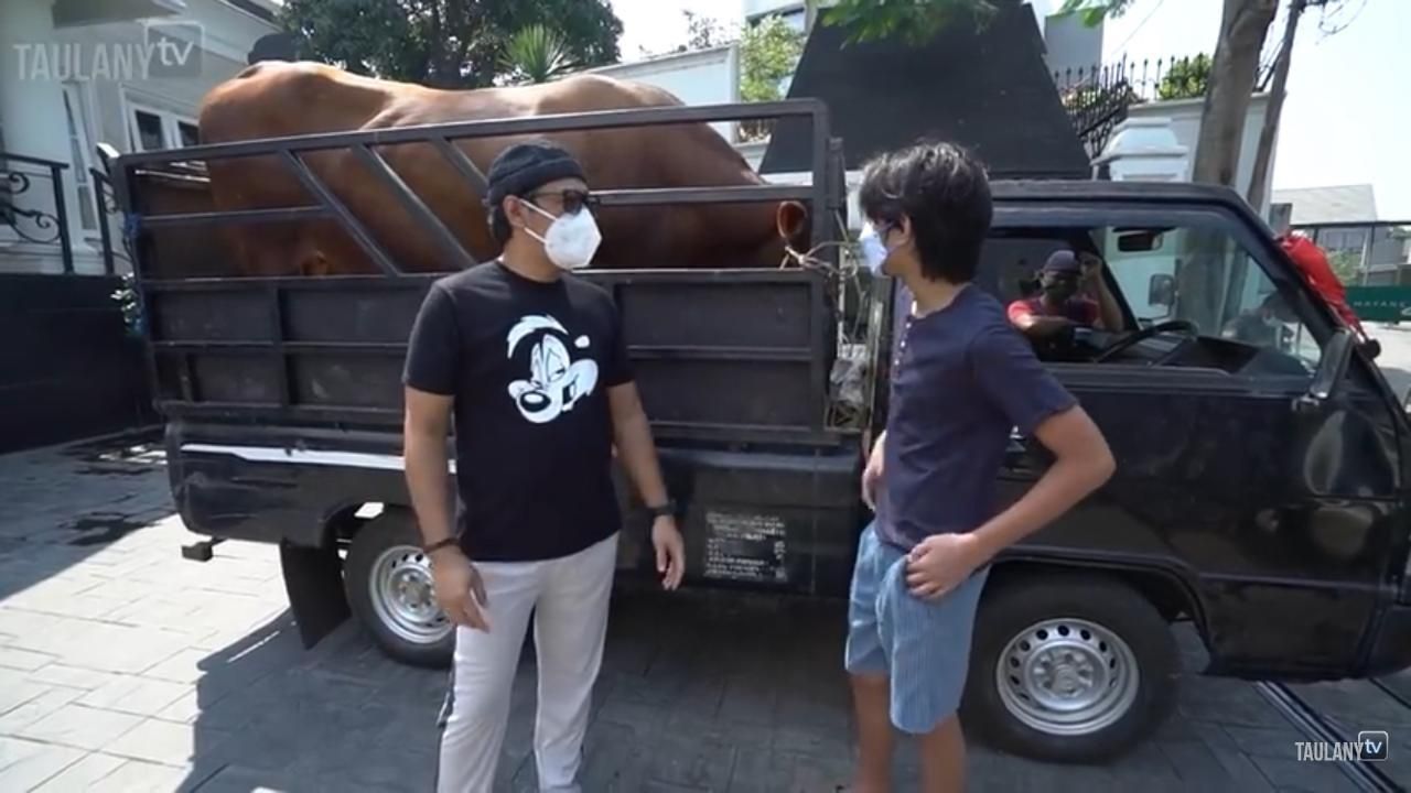 Sapi kurban Andre Taulany (Foto: YouTube/TAULANY TV)