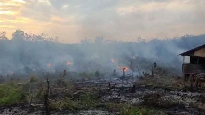 Buka Lahan Perkebunan dengan Cara Dibakar, Pria di Sumsel Ditangkap Polisi