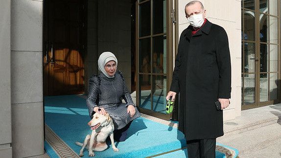 Momen Foto Kebersamaan Erdogan dan Istrinya yang Berjilbab Pelihara Anjing