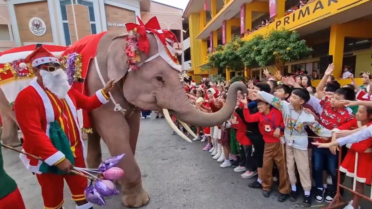 Thailand Suguhkan Parade Gajah Berjubah Santa di Hari Natal, Menggemaskan!