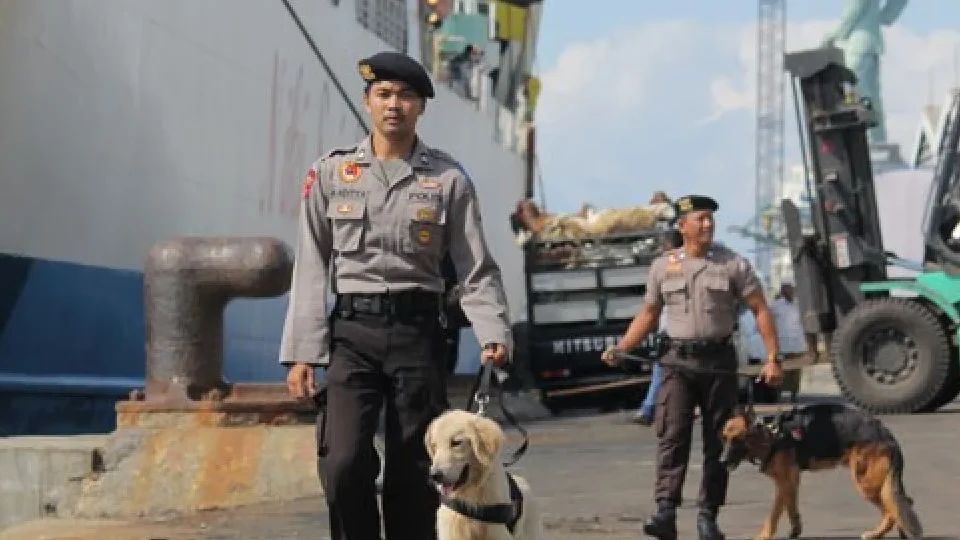 Kerahkan 6 Anjing Pelacak di Pelabuhan Bakauheni, 8 Orang Tersangka dan 80 Kilogram Sabu Diamankan