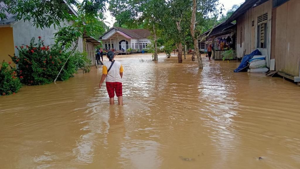 Penampakan Banjir di Sepaku yang Berbatasan dengan Lokasi Ibu Kota Baru