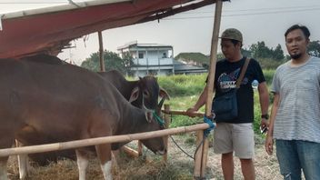 DPKP Kabupaten Tangerang Klaim 10.143 Hewan Ternak Siap untuk Kebutuhan Kurban