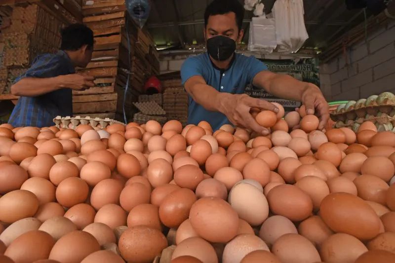 Harga Telor Ayam di Pasar Jatinegara Turun