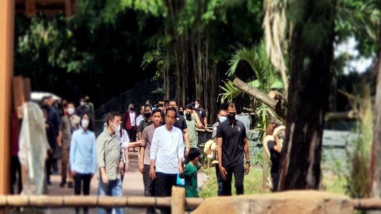 Kunjungi Solo Safari Bersama Keluarga, Jokowi: Sangat Bagus