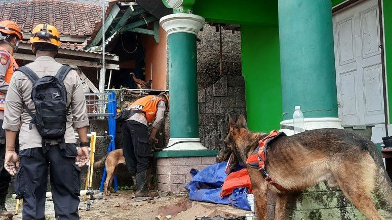 Polri Kerahkan 16 Anjing K-9 Cari Korban Gempa di Cianjur, Berhasil Temukan Sejumlah Jenazah