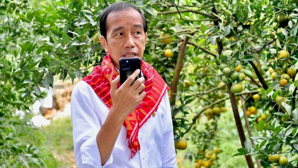 Beredar Video Jokowi di Nias Tegaskan Berminat Jadi Presiden Tiga Periode, Cek Faktanya