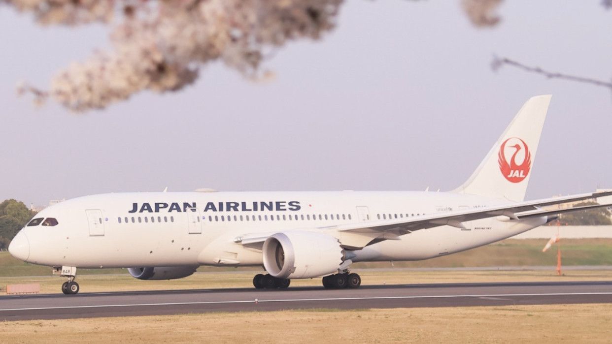 Imbas Pilot Mabuk, Japan Airlines Batalkan Penerbangan ke Tokyo