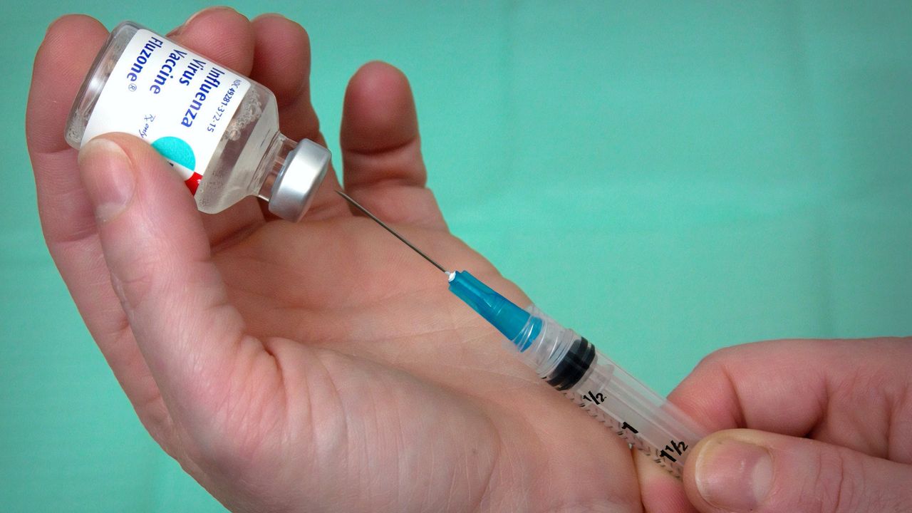 Pakar: Banyak Negara Tidak Rasional soal Vaksin Influenza Korea Selatan
