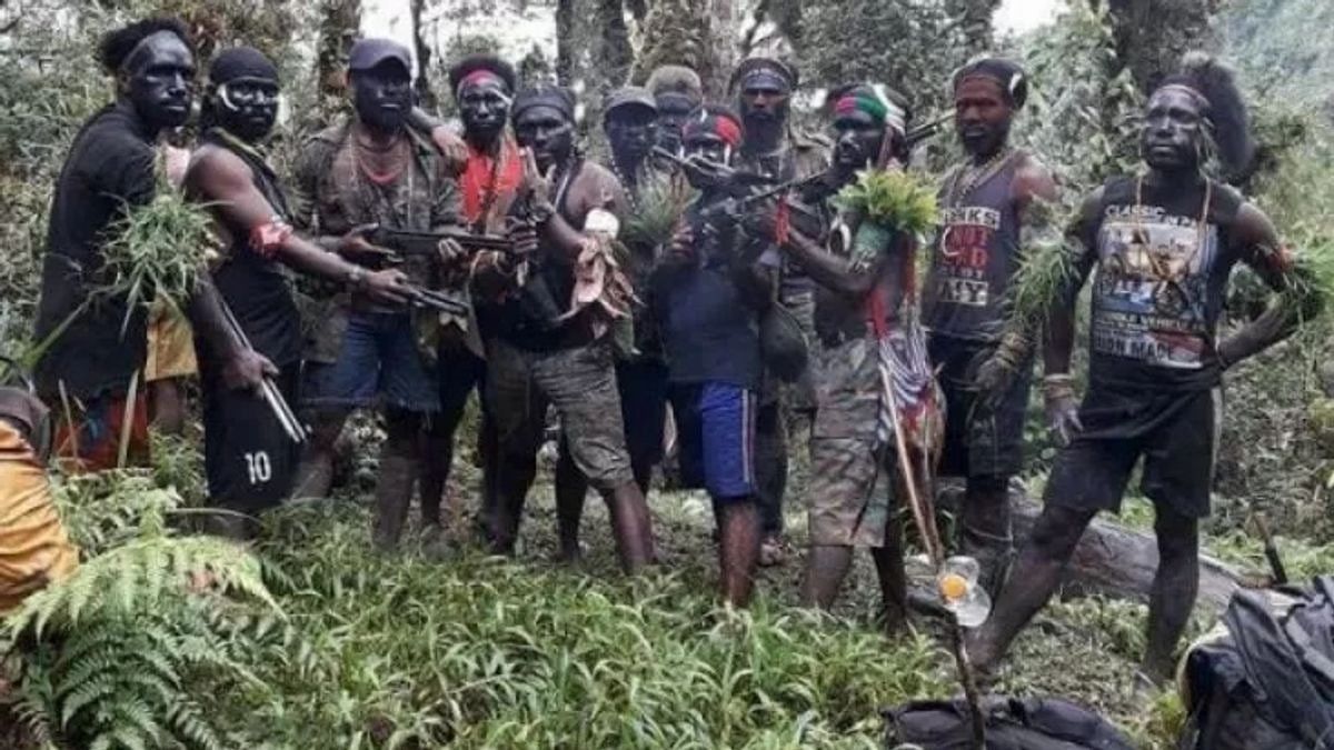 Masih Jadi Kelompok Separatis yang Diburu, Berikut Penjelasan tentang Sejarah KKB Papua