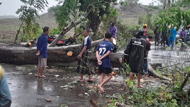 Pohon Kapuk Tumbang Timpa Pemotor hingga Tewas di Gowa