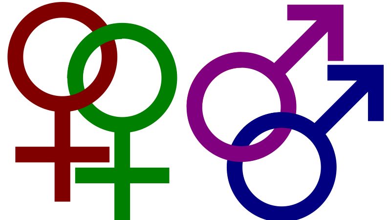 LGBT Bukan 'Barang' Baru, Beragam Gender Sudah Sejak Lama Tumbuh di Nusantara