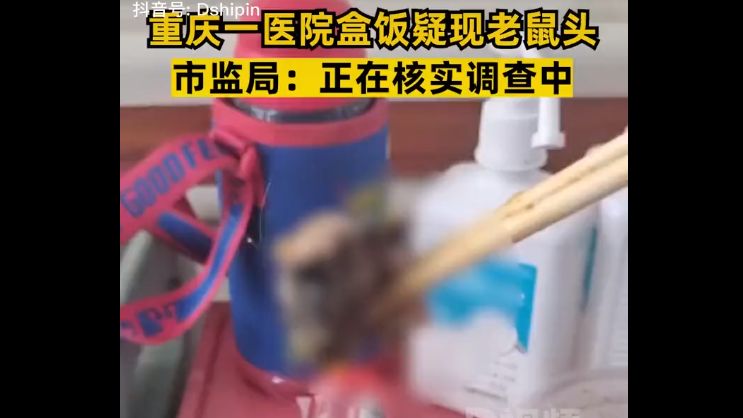 Sudah Dua Kali Kepala Tikus Ditemukan dalam Kotak Makan Siang Kantin di China, Kacau!