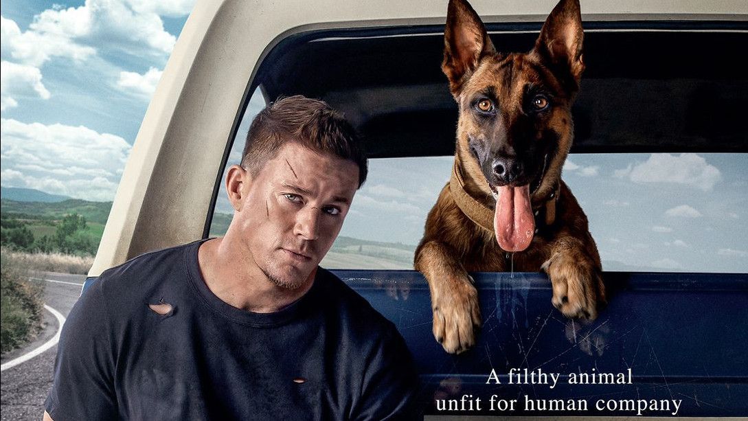 Review Film Dog, Perjalanan Healing Channing Tatum dengan Anjing Militer yang Kocak Sekaligus Menyentuh