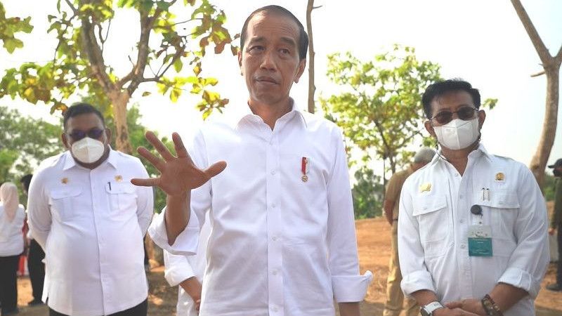 Tanam Kepala Genjah, Jokowi: Setahun Satu Pohon Bisa 100 Buah