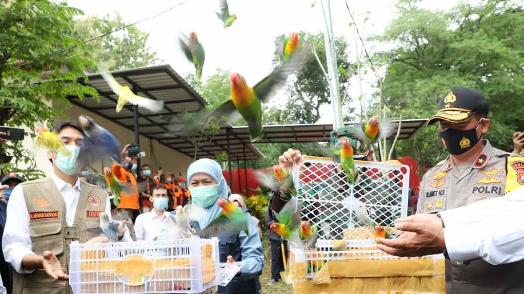 Burung Lovebird yang Dilepaskan Gubernur Jatim Ternyata Mahal, Segini Harganya