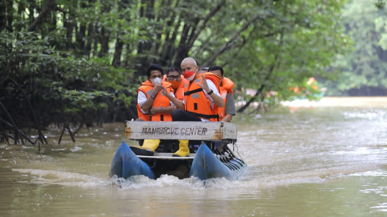 Keliling Kawasan Mangrove di Balikpapan,  Ganjar Pranowo Kagum: Wow, Gede!