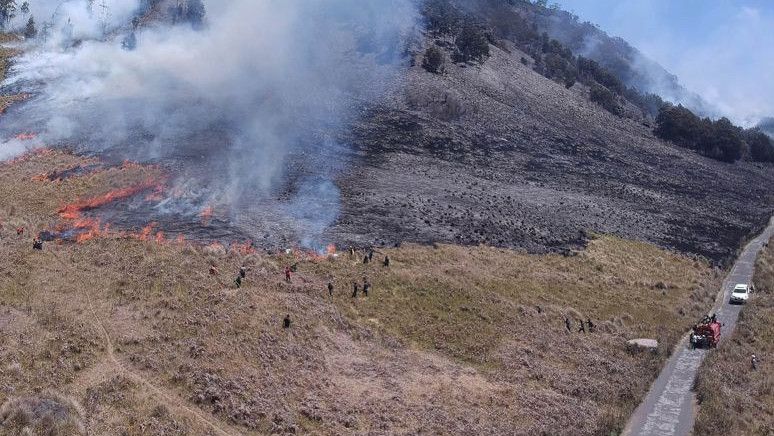 Area Savana Terbakar, BB TNBTS Pastikan Aktifitas Wisata di Gunung Bromo Tak Terpengaruh