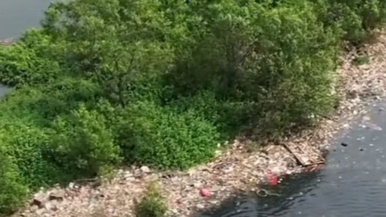 DKI Perkirakan Sampah Pantai Mangrove Muara Angke dari Daerah Lain
