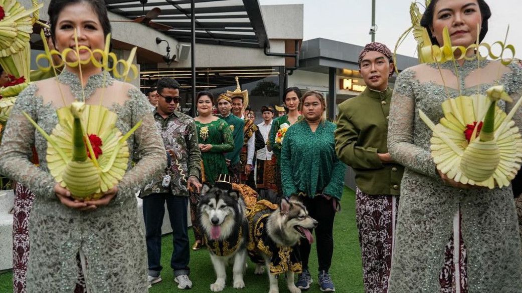 Dinas Kebudayaan DIY Kecam Pernikahan Anjing di PIK Pakai Adat Jawa