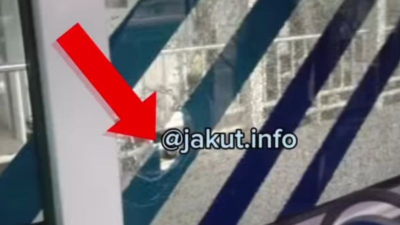 Pria Kurang Kerjaan di Jagakarsa yang Lempar Kaca TransJakarta Terancam Masuk Penjara