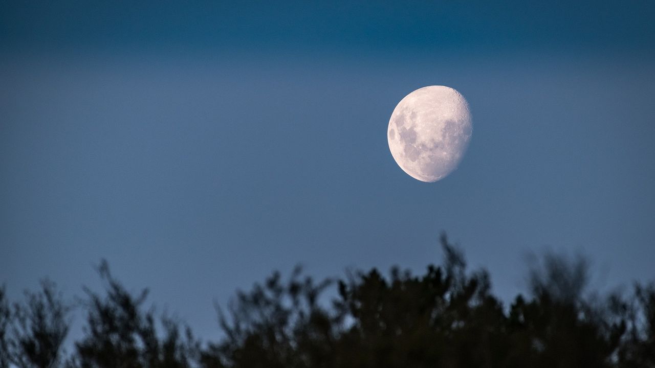Jangan Lewatkan Fenomena Blue Moon, Dapat Diamati di Seluruh Indonesia pada 22 Agustus