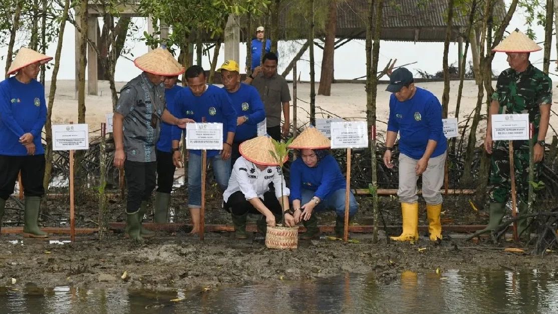 Pohon Mangrove yang Diberkati Paus Fransiskus Ditanam di Pantai Sumut