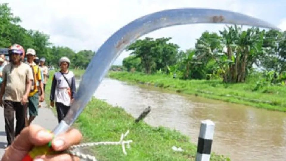 Nasib Terkini Tiga Bocah Bercelurit Viral di Bogor hingga Bikin Pemotor Perempuan Jatuh Terseret