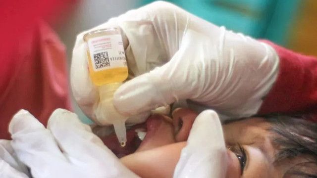 Heboh Kandungan Babi di Vaksin Polio, Begini Penjelasan Ahli