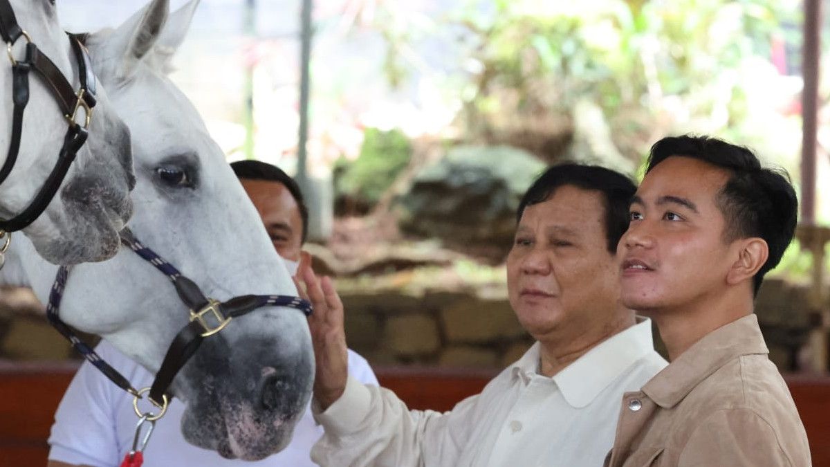 Penuhi Undangan Prabowo untuk Berkuda, Gibran Didukung Maju Gubernur