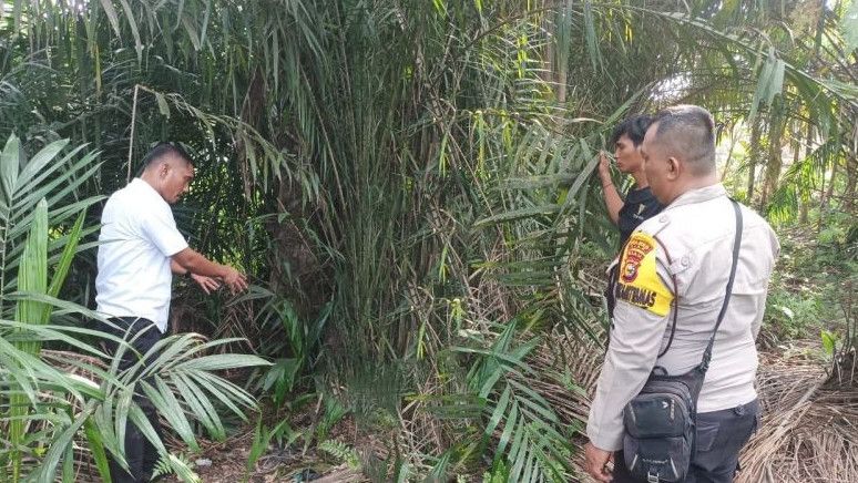 6 Anak di Bawah Umur Cabuli Siswi SMP Riau di Tiga Tempat: Semak-semak, Belakang Masjid dan Belakang Kantor Desa