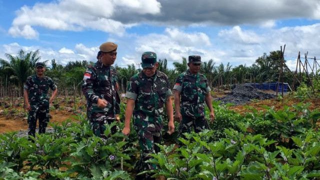 TNI Gencarkan Program Ketahanan Pangan di Perbatasan RI-Malaysia, Budidaya Jamur hingga Tempe