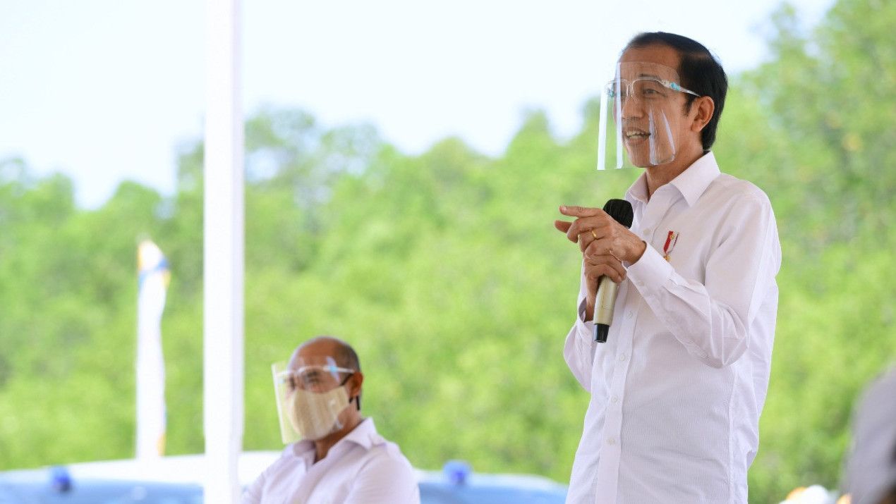 Ada Demo di Depan Istana, Jokowi Pilih Tinjau Food Estate di Palangkaraya