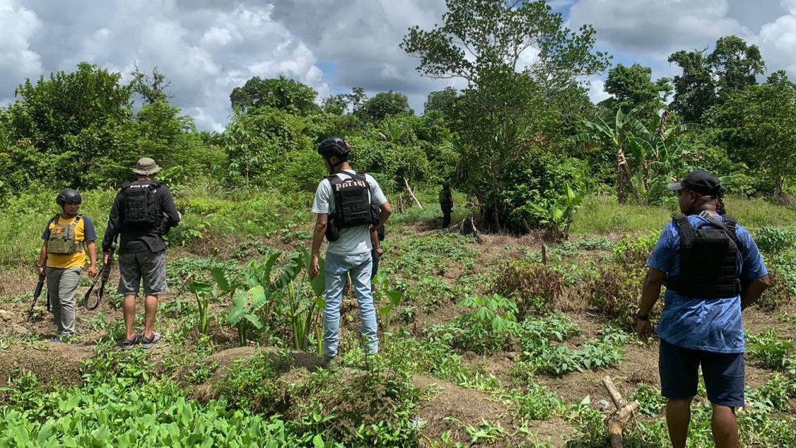 2 Warga Papua Ditemukan Tewas Bersimbah Darah di Rumah, Diduga Dibunuh